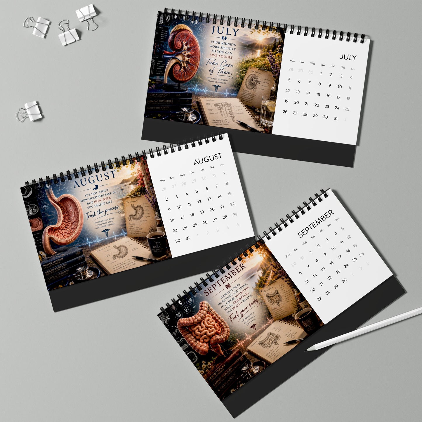 Anatomie Tischkalender 2027