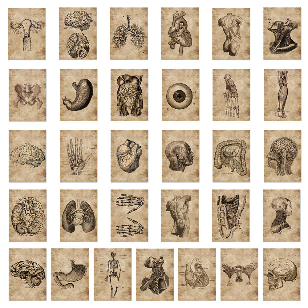 56 Anatomy Human Skeleton Sticker Notebook