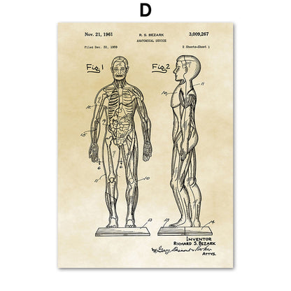 Medical Human Anatomy Musculoskeletal Vintage Art Canvas Painting
