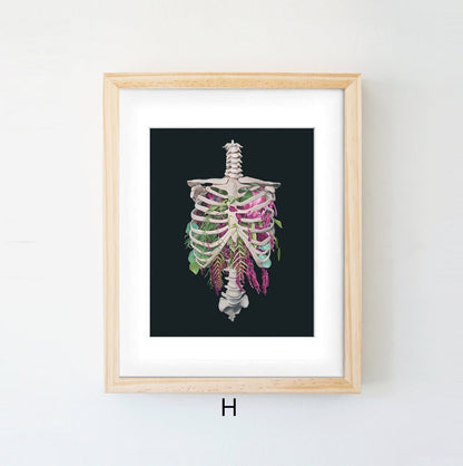 Anatomy Art Canvas Painting Human Organs Painting