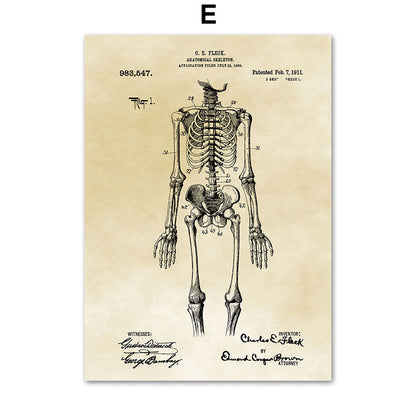 Medical Human Anatomy Musculoskeletal Vintage Art Canvas Painting