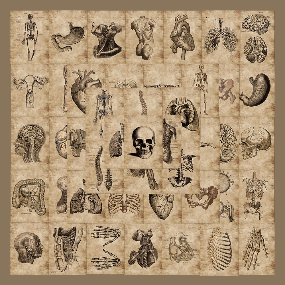 56 Anatomy Human Skeleton Sticker Notebook