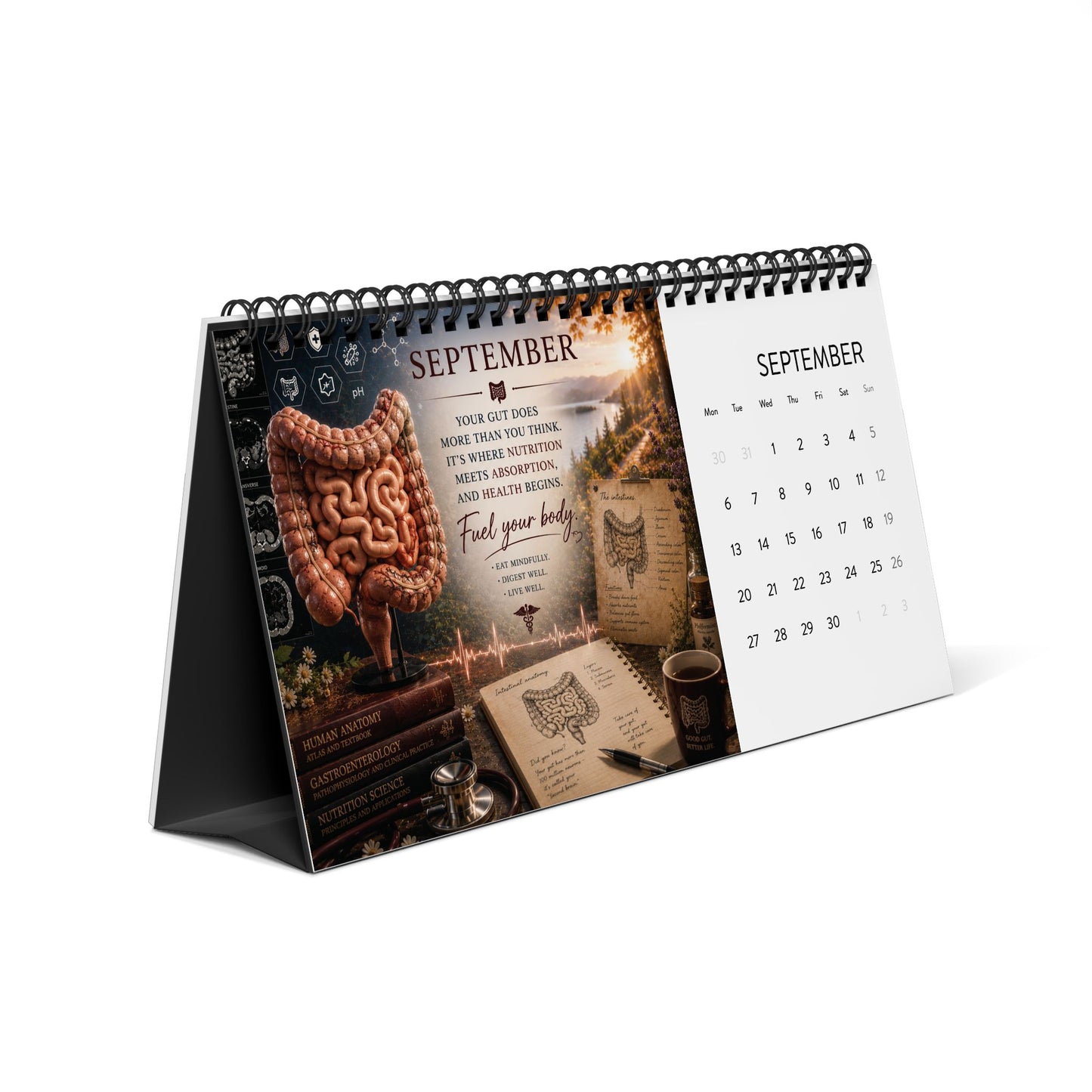 Anatomie Tischkalender 2027