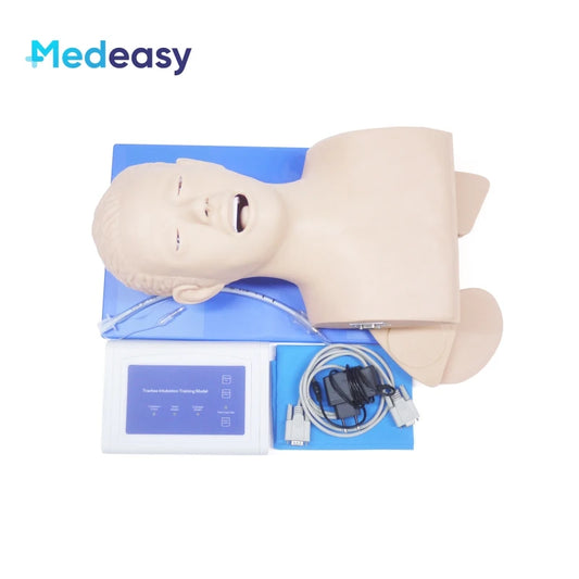 Medeasy- Trainingsmodell für Endotracheale Intubation
