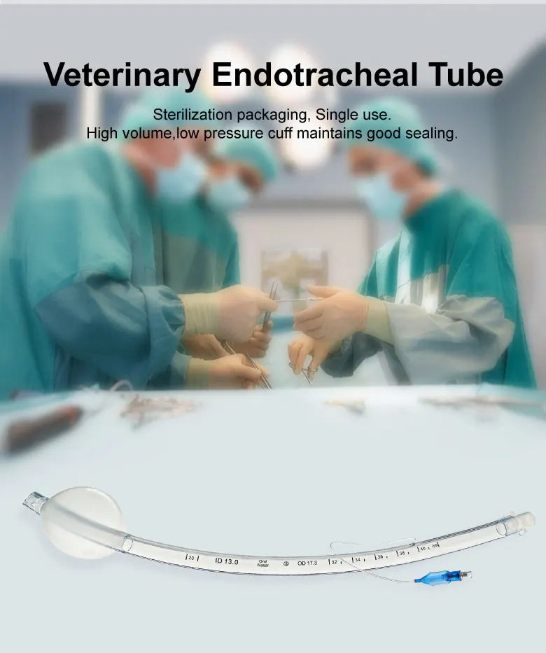 Large Size Endotracheal Intubation Tube With Cuff And Pressure Ballon 11/12/13mm Animals Disposable Veterinary  Supplies
