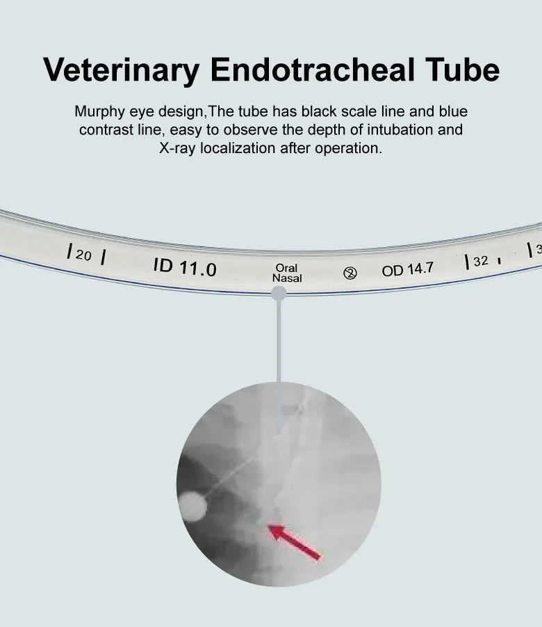 Large Size Endotracheal Intubation Tube With Cuff And Pressure Ballon 11/12/13mm Animals Disposable Veterinary  Supplies
