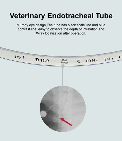 Large Size Endotracheal Intubation Tube With Cuff And Pressure Ballon 11/12/13mm Animals Disposable Veterinary  Supplies