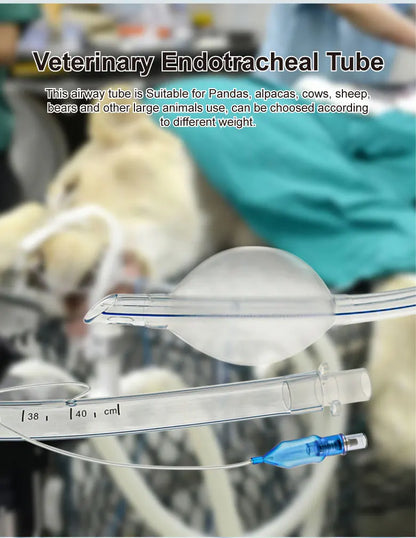Large Size Endotracheal Intubation Tube With Cuff And Pressure Ballon 11/12/13mm Animals Disposable Veterinary  Supplies