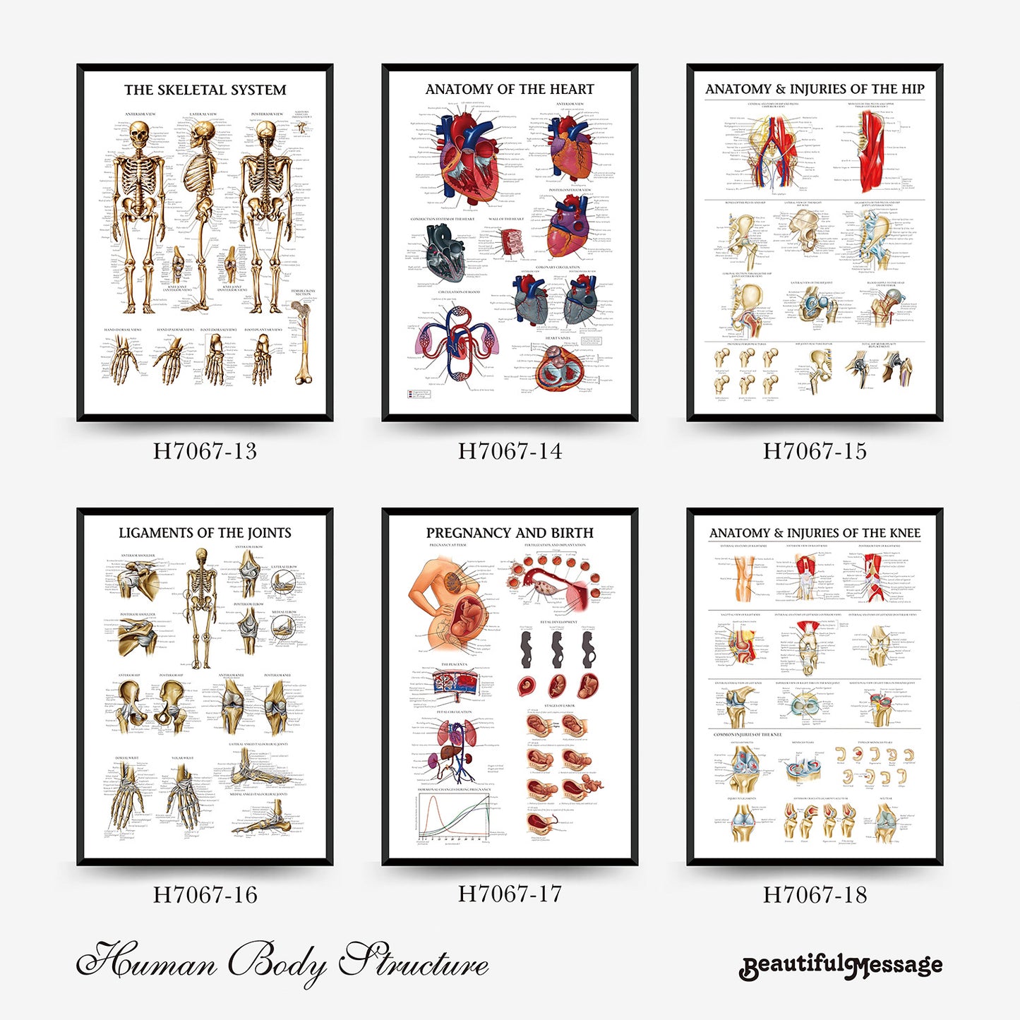 Wall Chart Human Anatomy Muscles Gym Medical Education Decorative Painting