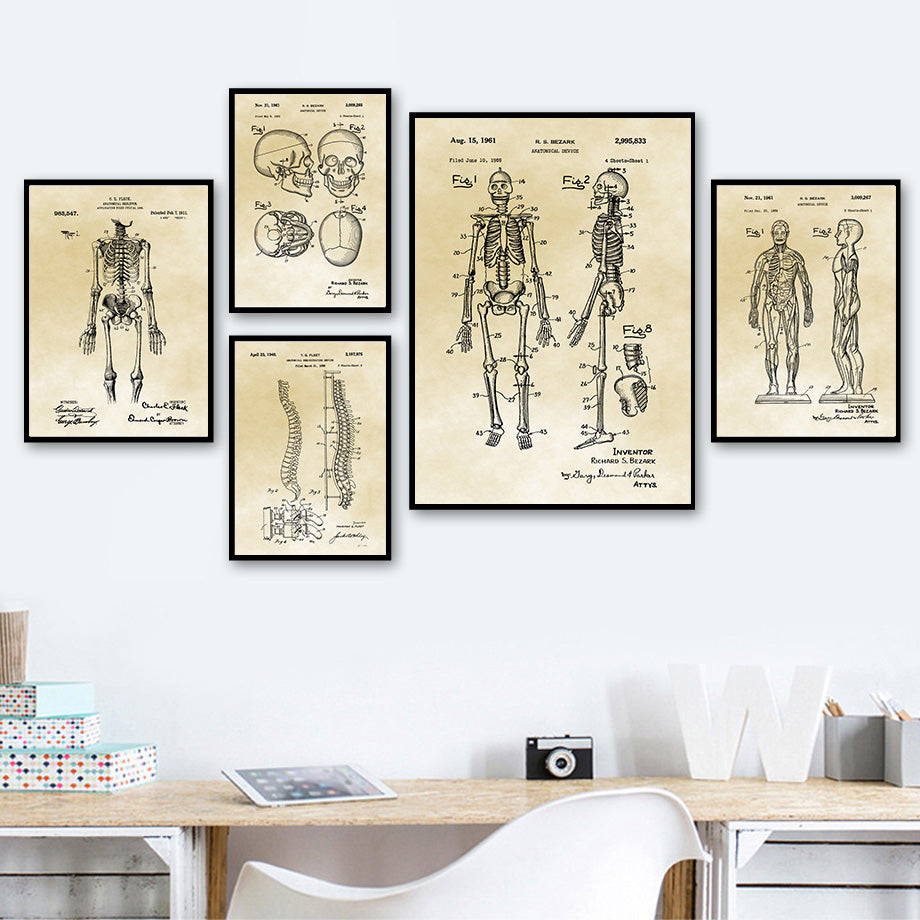Medical Human Anatomy Musculoskeletal Vintage Art Canvas Painting