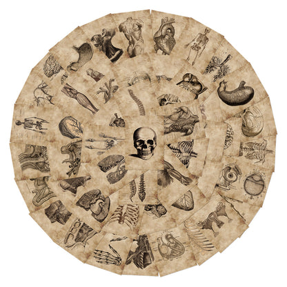 56 Anatomy Human Skeleton Sticker Notebook
