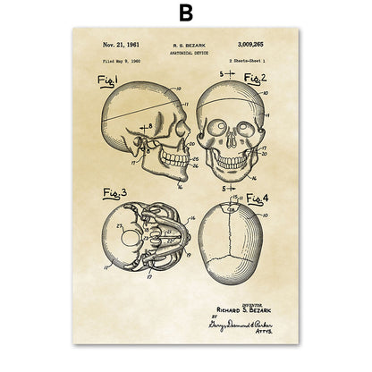 Medical Human Anatomy Musculoskeletal Vintage Art Canvas Painting